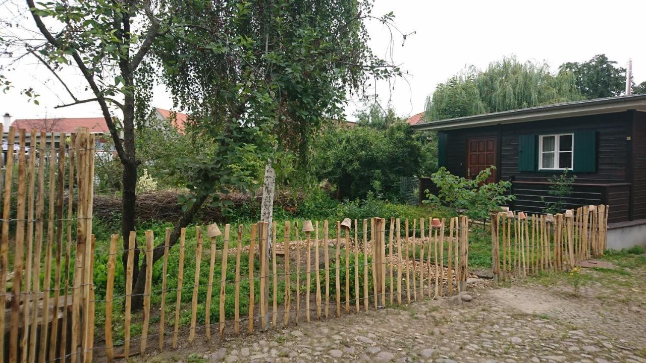 Huette Mit Herz Im Harz Lägenhet Meisdorf Exteriör bild